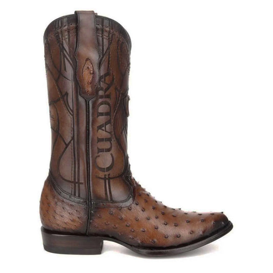 Botas Cuadra Avestruz Cafe 2C1NA1 Cj AN