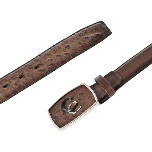 Cinto Cuadra Avestruz Lugano Cafe CV496A1