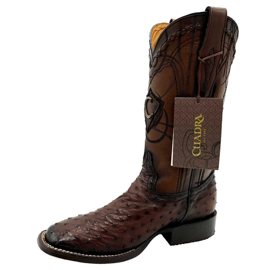 Botas Cuadra Avstruz Flame Cafe 3Z1OA1 cj 0101
