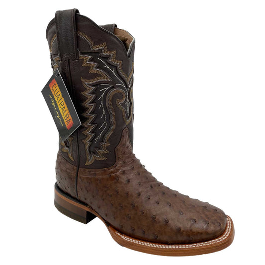 Cuatralba Ostrich 1st Chocolate cj CHO