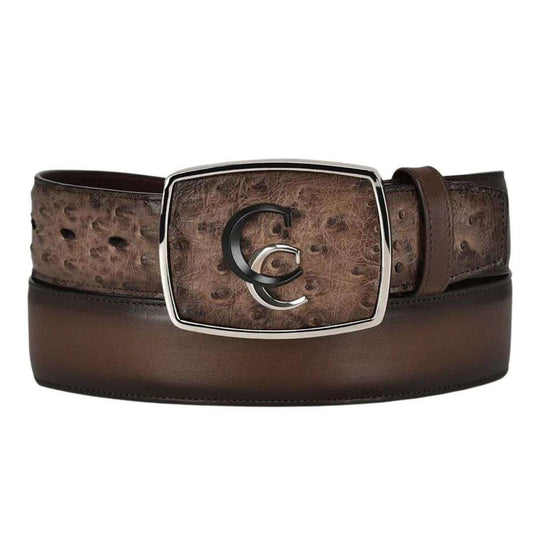 Cinto Cuadra Avestruz Lugano Cafe CV496A1