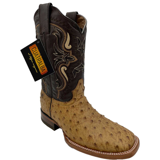 Cuatralba Ostrich 1st Straw cj 100