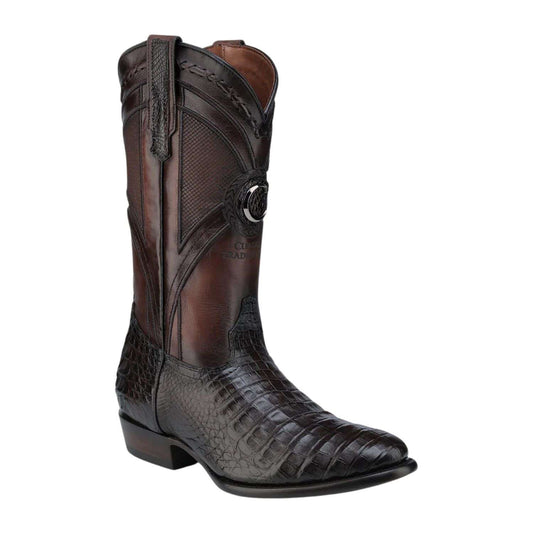 Botas Cuadra Caimán Belly Damián Café 2H0AFY cj 857