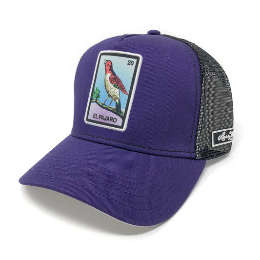 Larry Mahans El Pajaro Cachucha