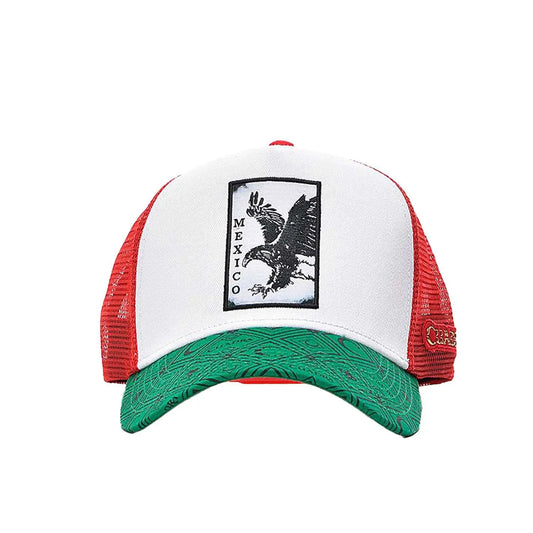 Cachucha Cuadra El Aguila Mexico