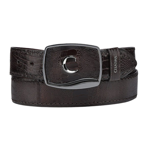 Cinto Cuadra Avestruz Pata Kango CV513AP