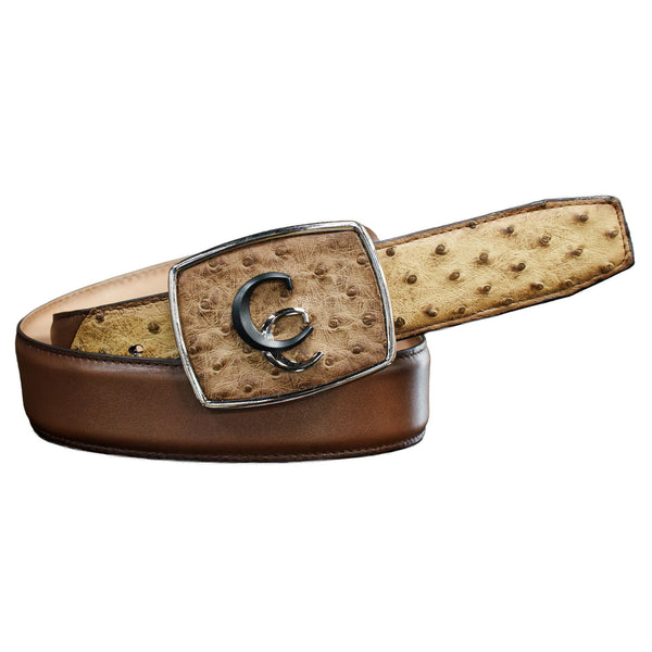 Cinto Cuadra Pearl Grain Lugano Cafe CV496A1