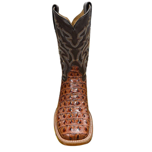 Botas Cuatralba Imit. Cocodrilo Cafe H62 cj 316