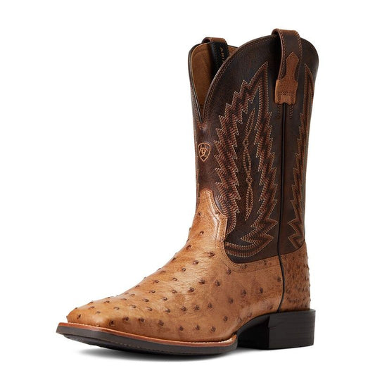 Ariat Primo Beam Cafe 10040281