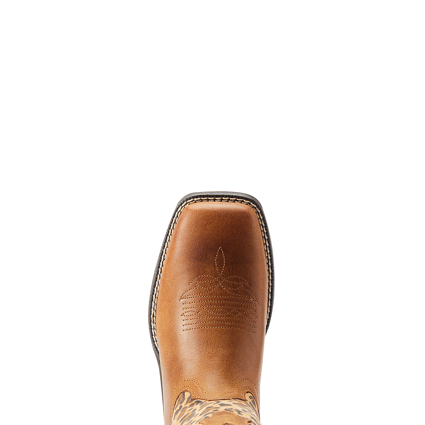 Ariat Lady Anthem Savanna Boots 10044410