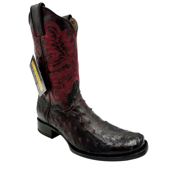 Bota Cuatralba Avestruz Blackcherry H60 cj 181