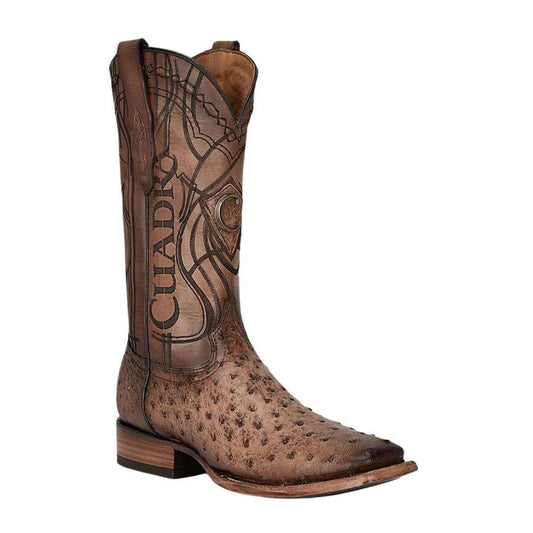 Botas Cuadra Avestruz Lugano Cafe 3Z2LA1 cj 744