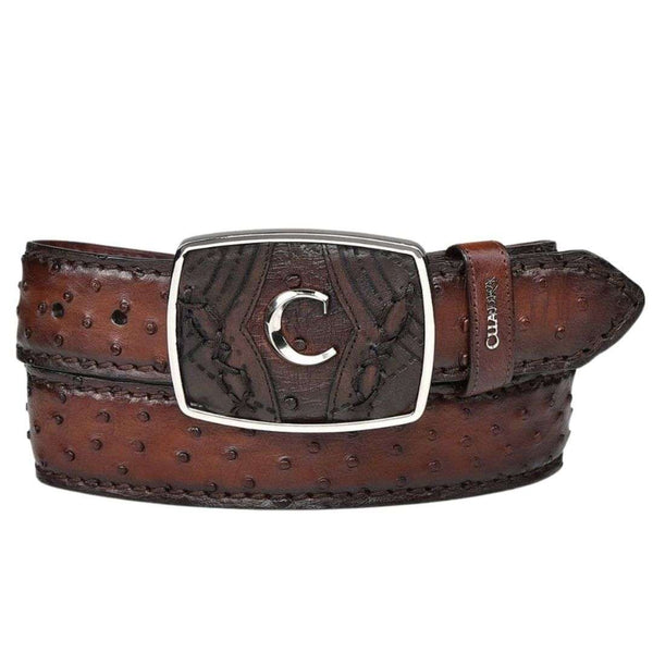 Ostrich Square Belt Moroni Chestnut CV464A1 