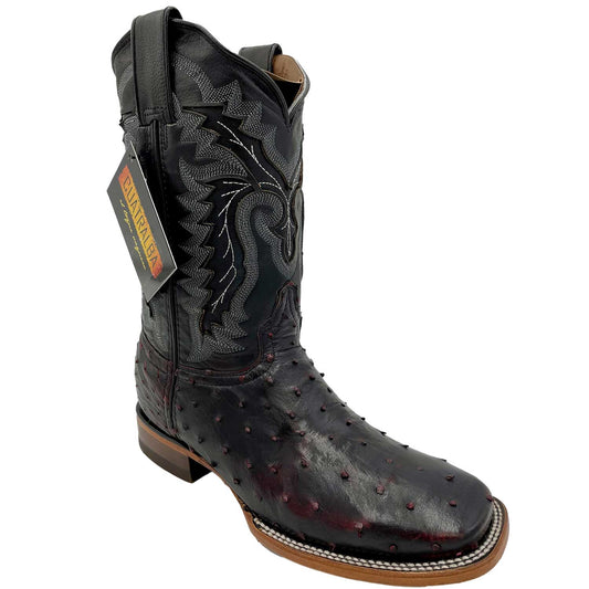 Cuatralba Avestruz 1ra Blackcherry H62 CJ 12
