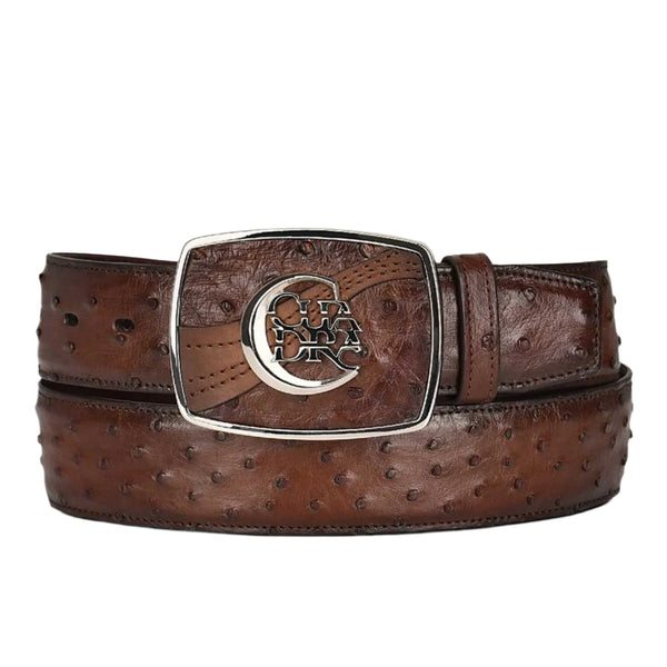 Cuadra Moroni Chestnut Ostrich Belt CV499A1
