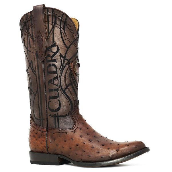 Botas Cuadra Avstruz Flame Cafe 2C10A1 cj 010
